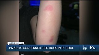 Parents Concerned, Bed Bugs in School