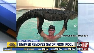 Nearly 9-foot alligator pulled from Florida pool