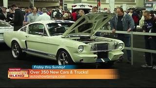 Tampa New Car and Truck Show