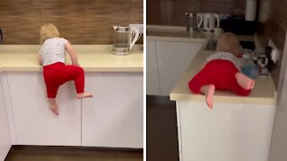 Athletic 1-year-old Parkours The Kitchen Counter With Ease