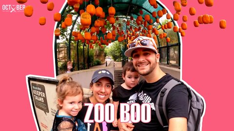 ZOO BOO | HOUSTON ZOO | CIWTG | S01_EP42