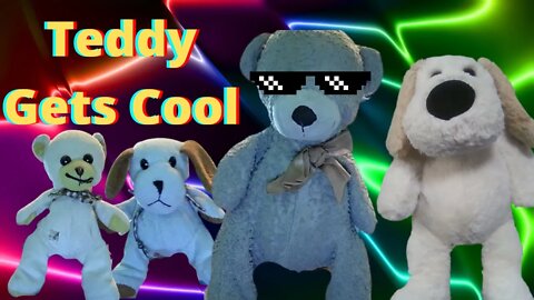Teddy Gets Cool