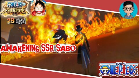 Review SSR Awakening Sabo | One Piece Burning Will Cn Mobile