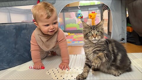 Adorable Baby Boy Can't Stop Laughing At His Kitten! (Cutest Ever!!)