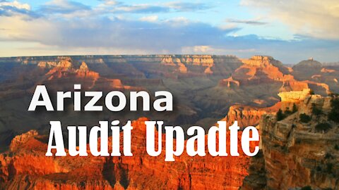 Arizona Audit Update (Arizona newspaper goes to court for audit records )
