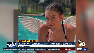 Family of teen killed in hit and run speaks out
