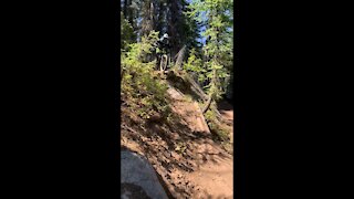 Tamarack Bike Park ~ Smoke Jumper (Black) Pt 3