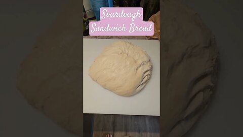 sourdough sandwich bread #shorts #video #sourdough #homestead #farm #homemaking #bread #baking #bake