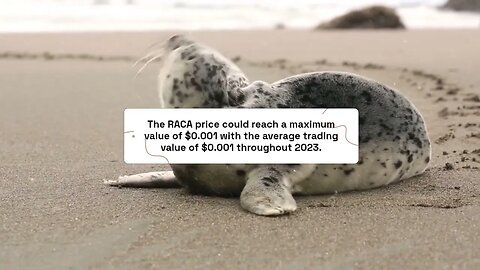 Radio Caca Price Prediction 2023 RACA Crypto Forecast up to $0 002