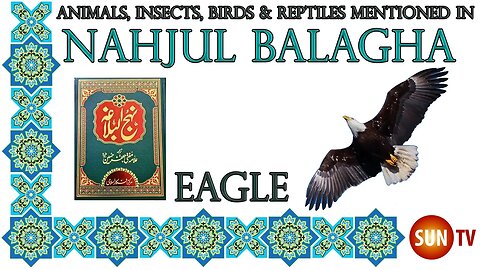 Eagle - Animals, Insects, Reptiles & Amphibians in Nahjul Balagha (Peak of Eloquence)#imamali #ali