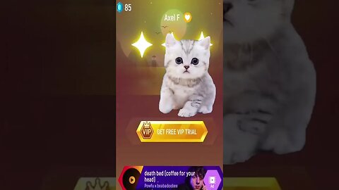 cat sing money lisa blackpink part 2 #shorts #music #blackpink #tileshop