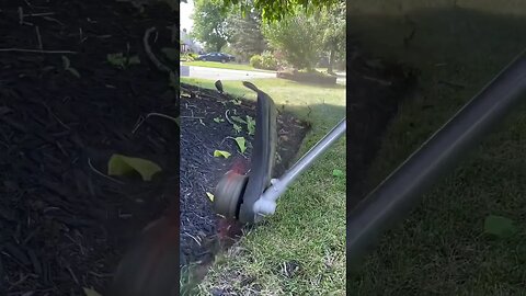 I Mowed A MEGA STRIPE Into My Neighbor’s Lawn