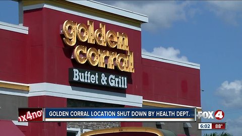 Cape Coral buffet shut down by Health Department