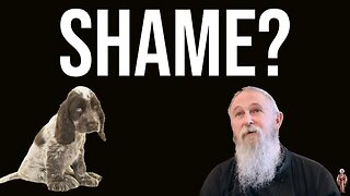 Shame and Orthodoxy - Father Stephen Freeman