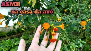 ASMR - Sons da natureza ao ar livre para você relaxar (tapping agressivo)