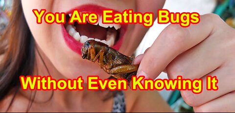 You Are Eating Bugs Without Even Knowing It