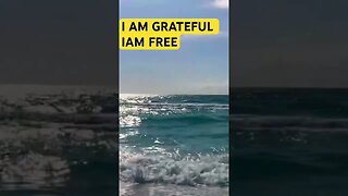 I AM FREE I AM GRATEFUL 🦋#shortsfeed #goodvibes #spiritualawakening #affirmations #calm #gratitude