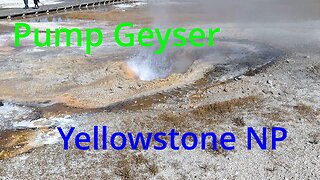 Yellowstone National Park Pump Geyser