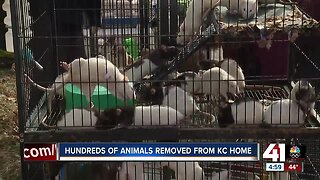 200 rats, other animals removed from home on Wabash Avenue