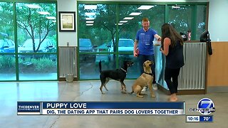 Newly-launched app helps Denver dog-lovers find human love