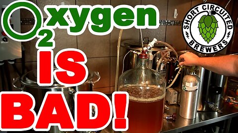 Transfer beer from primary to secondary oxidation free. How to transfer beer to keg oxidation free