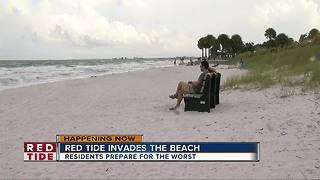 Red tide invade beach, residents prepare for the worst