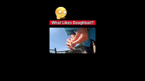 Watch and See What Likes Doughbait! 🫣 #fishing #baitandtackle #fishingmethods
