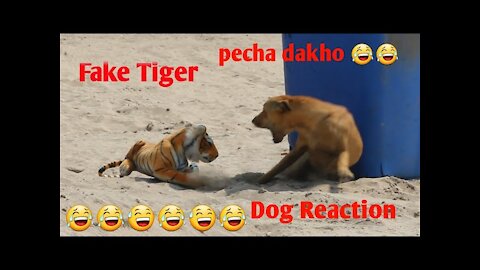 Fake Tiger Vs Dog Funny Prank Try Not To Laugh Challenge