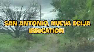 San Antonio, Nueva Ecija (Irrigation)