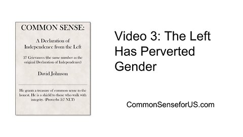 Video 3: The Left Has Perverted Gender