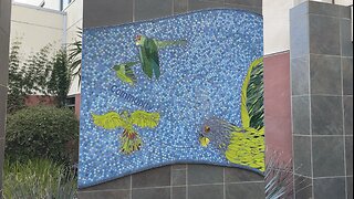 Wild Parrots Mural