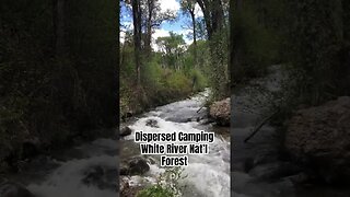 Deep Creek | White River National Forest #shorts #short