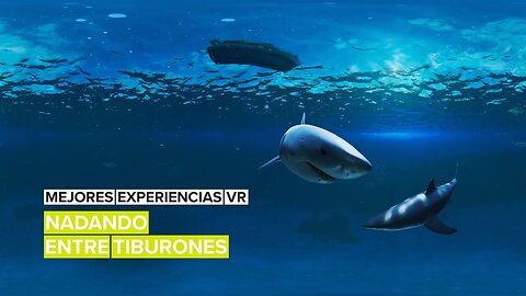 Mejores experiencias VR: Nadando entre tiburones
