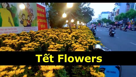 Tết Flowers - Cover our Neighborhood -- a New Year Tradition