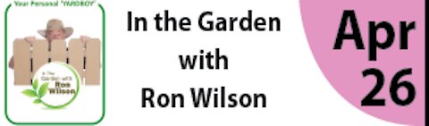 In the Garden with Ron Wilson