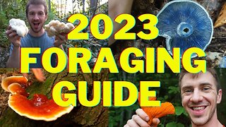 2023 Foraging Guide to Edible Mushrooms & Plants!