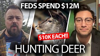 $10K to shoot a deer? Invasive species eradication project set to cost taxpayers $12M!