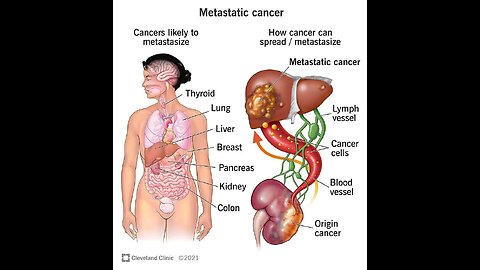 FENBENDAZOLE ANTI CANCER TREATMENT WORKS!