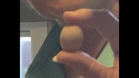 This Really is a Chicken Egg.!!