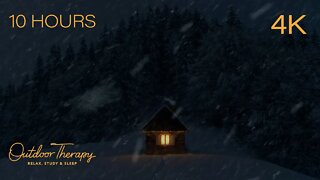 BLIZZARD AT THE COTTAGE | Cozy Howling Wind & Blowing Snow Ambience | Relax | Study | Sleep