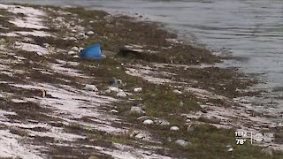 Environmental leaders say red tide could last for months