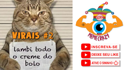 VÍDEOS VIRAIS 2 - MEME CRAZY