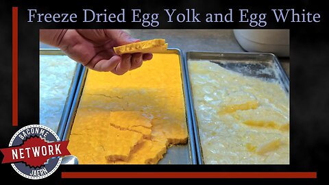 Jaern: Freeze Dried Egg Yolk and Egg White
