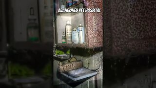 Abandoned Animal Hospital