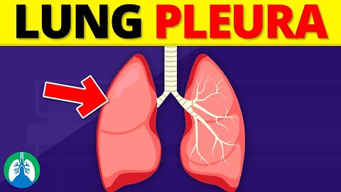 Lung Pleura (Anatomy) | Pleural Cavity | Overview