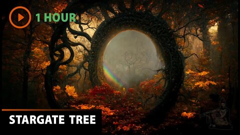 Natural Stargate Tree | Listen to Sitar & Tabla, Rain, Waves, Wind | Binaural ASMR Audio