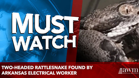 Two-headed rattlesnake found by Arkansas electrical worker
