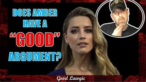 Viewer's Discretion: Amber Heard Filed Her Appeal. Does She Have ANY Good Claims?