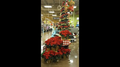 Christmas decorations at shopping mall USA