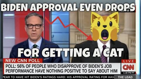 It’s so Bad for Biden, CNN admits Polls show Americans Disapprove of his handling of getting…A CAT!